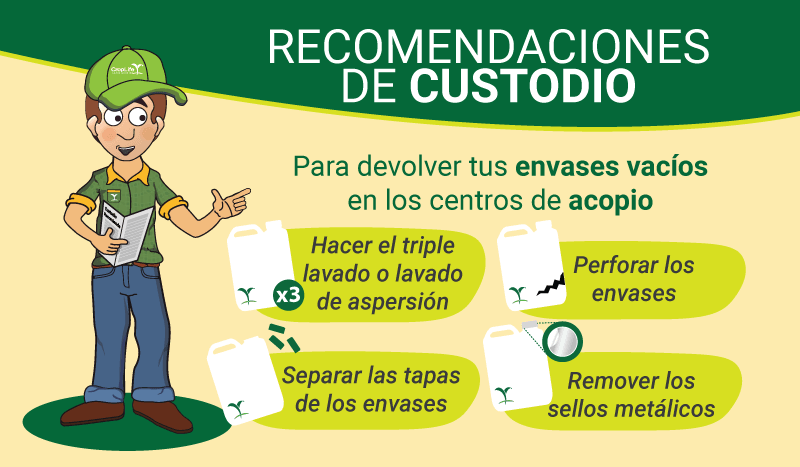 recomendaciones custodio