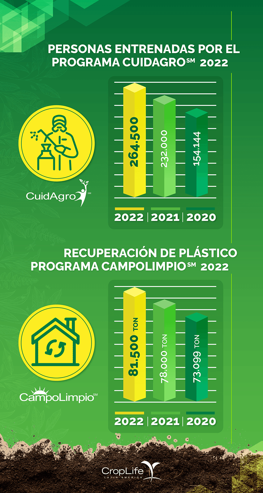 infografia informe 2022