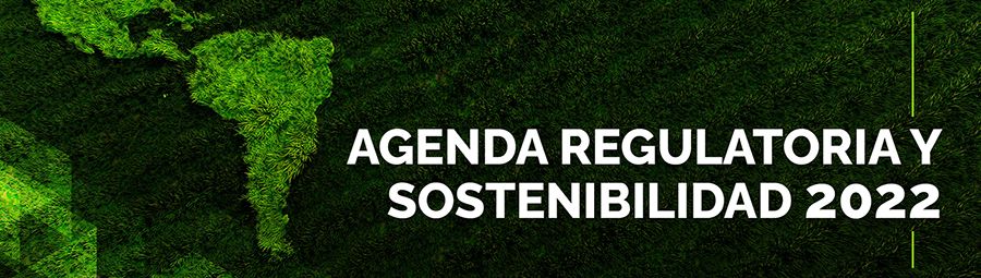 titulo agenda-regulatoria