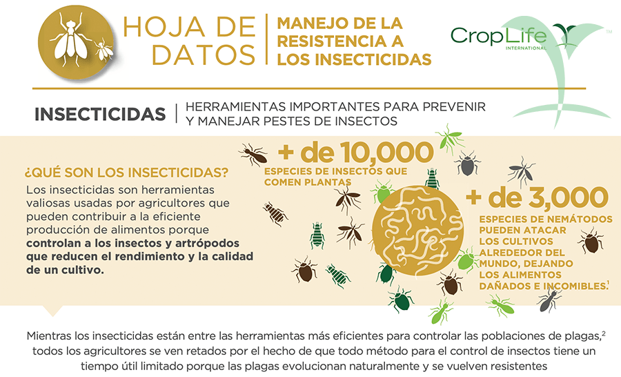 Resistencia a insecticidas