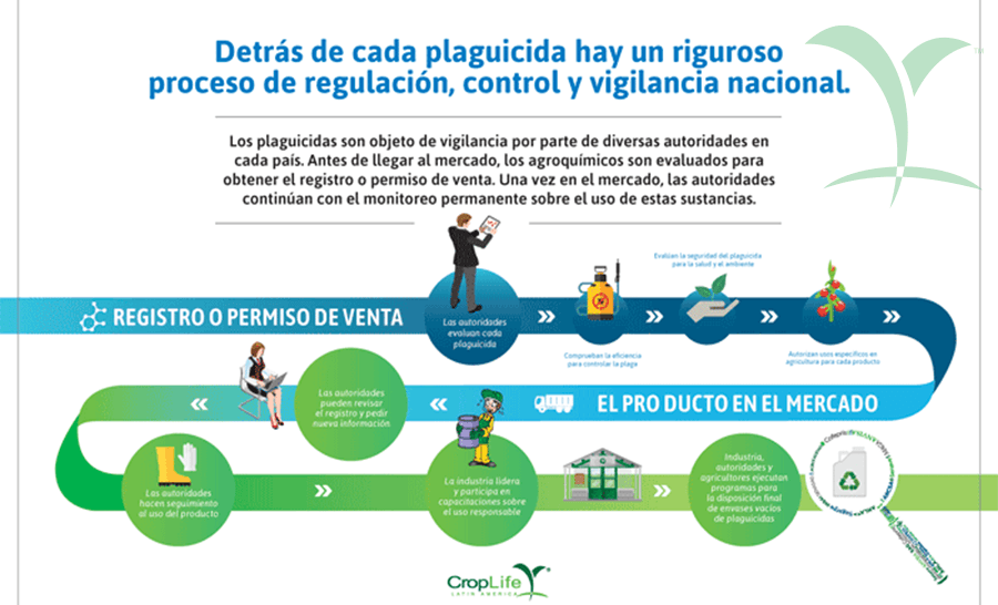 Proceso de regulación 