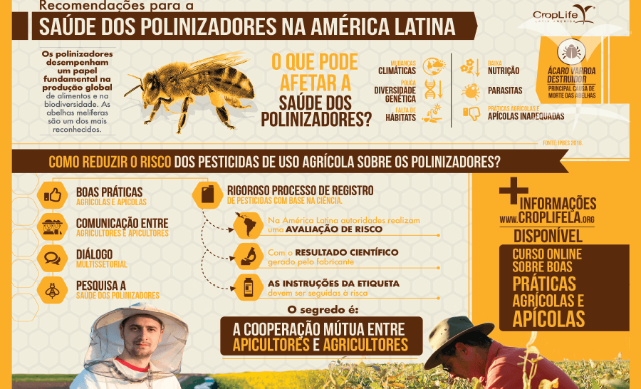 Infografia ejemplo No 1