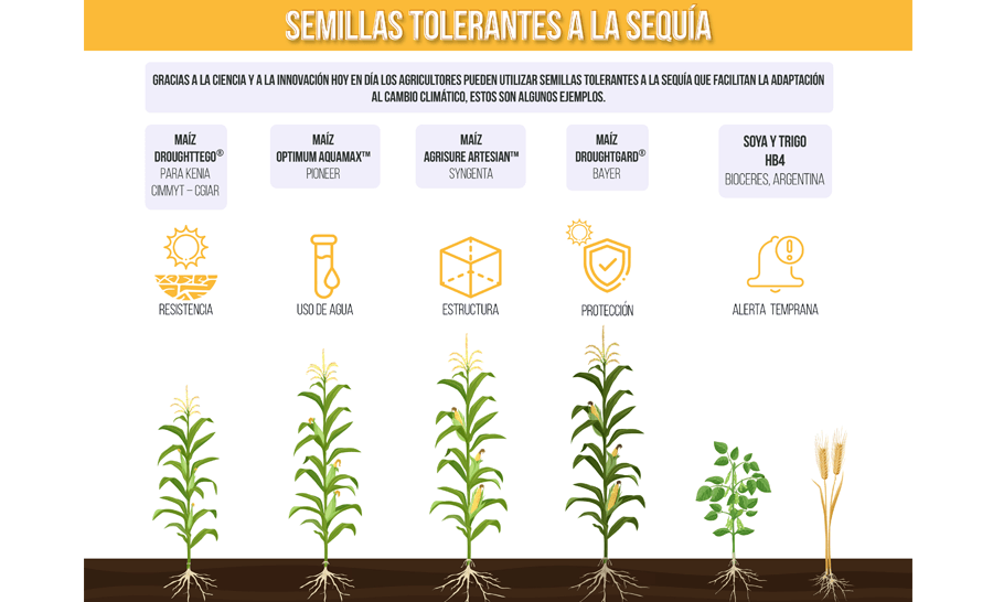 Infografia ejemplo No 1