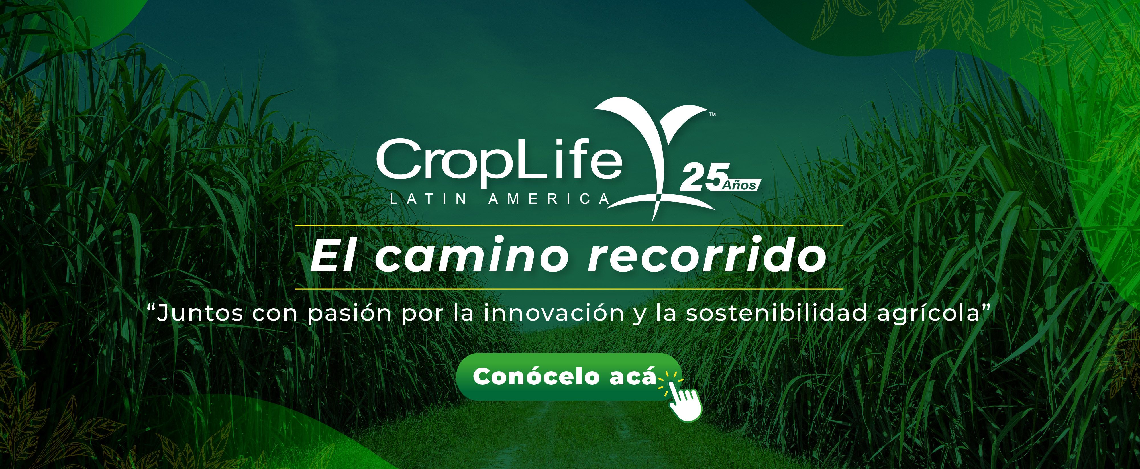 Cambio climático