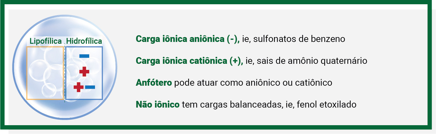 Carga Ionica Carga Ionica