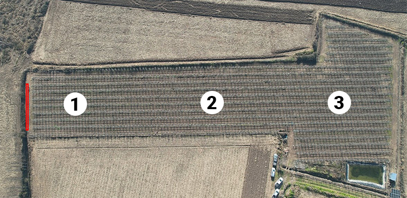 campo martillo numeros