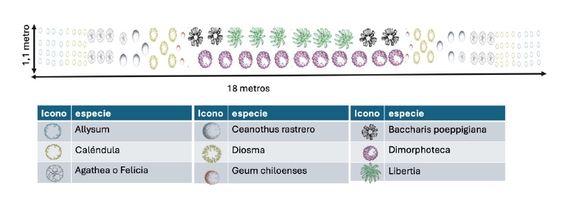 foto bordes carpetas