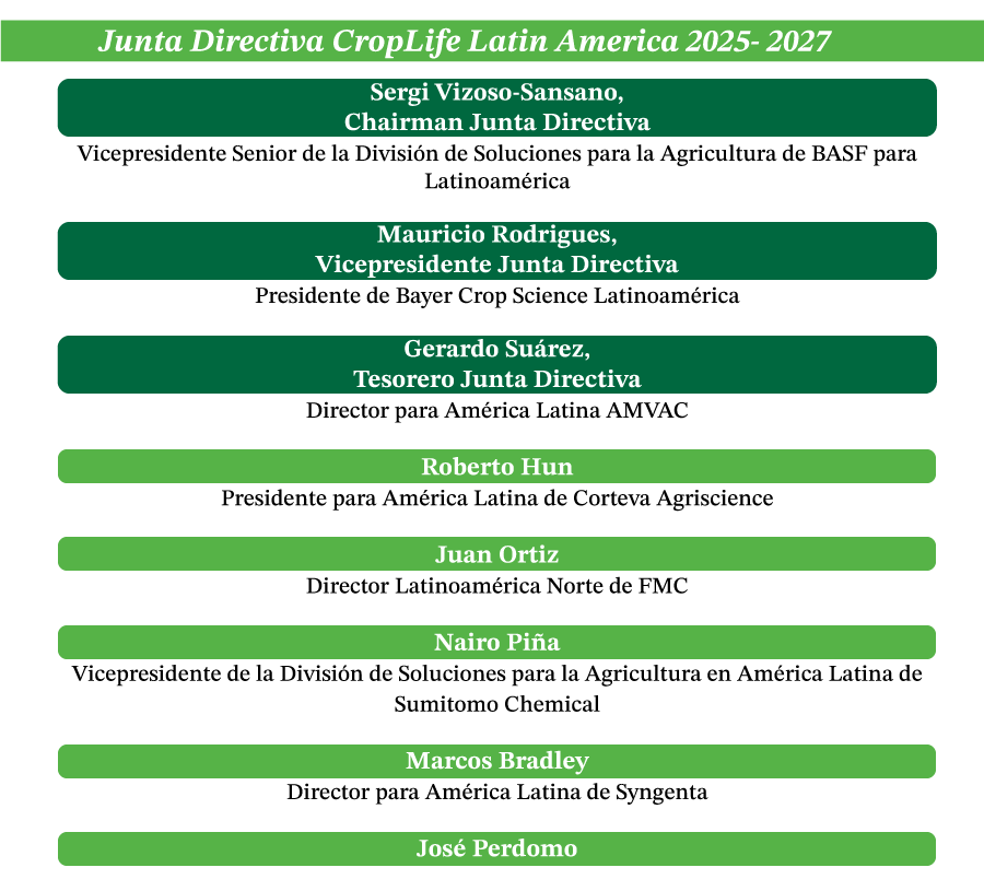 junta directiva cuadro
