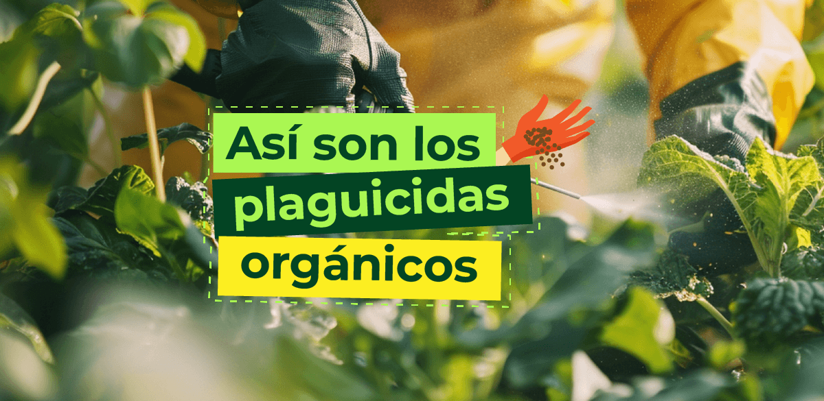 ABC Portadas plaguicidas organicos