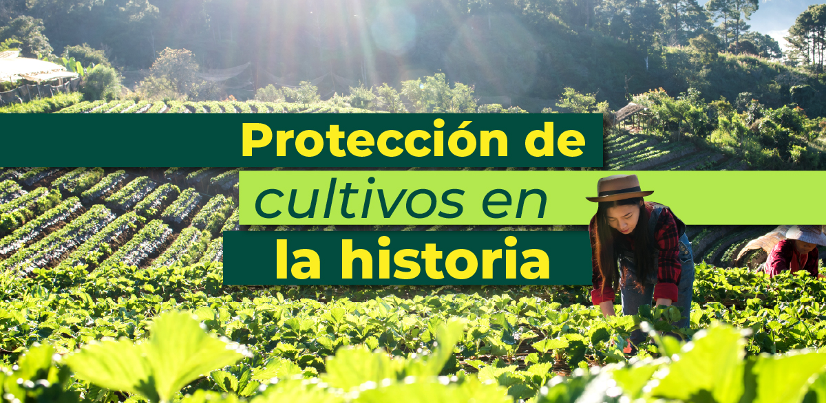 ABC Portadas proteccion cultivos historia