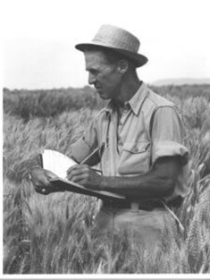 Norman bourlaug