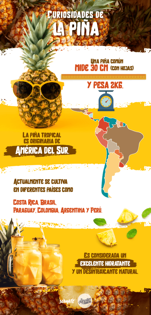 EAP Infografía Pina