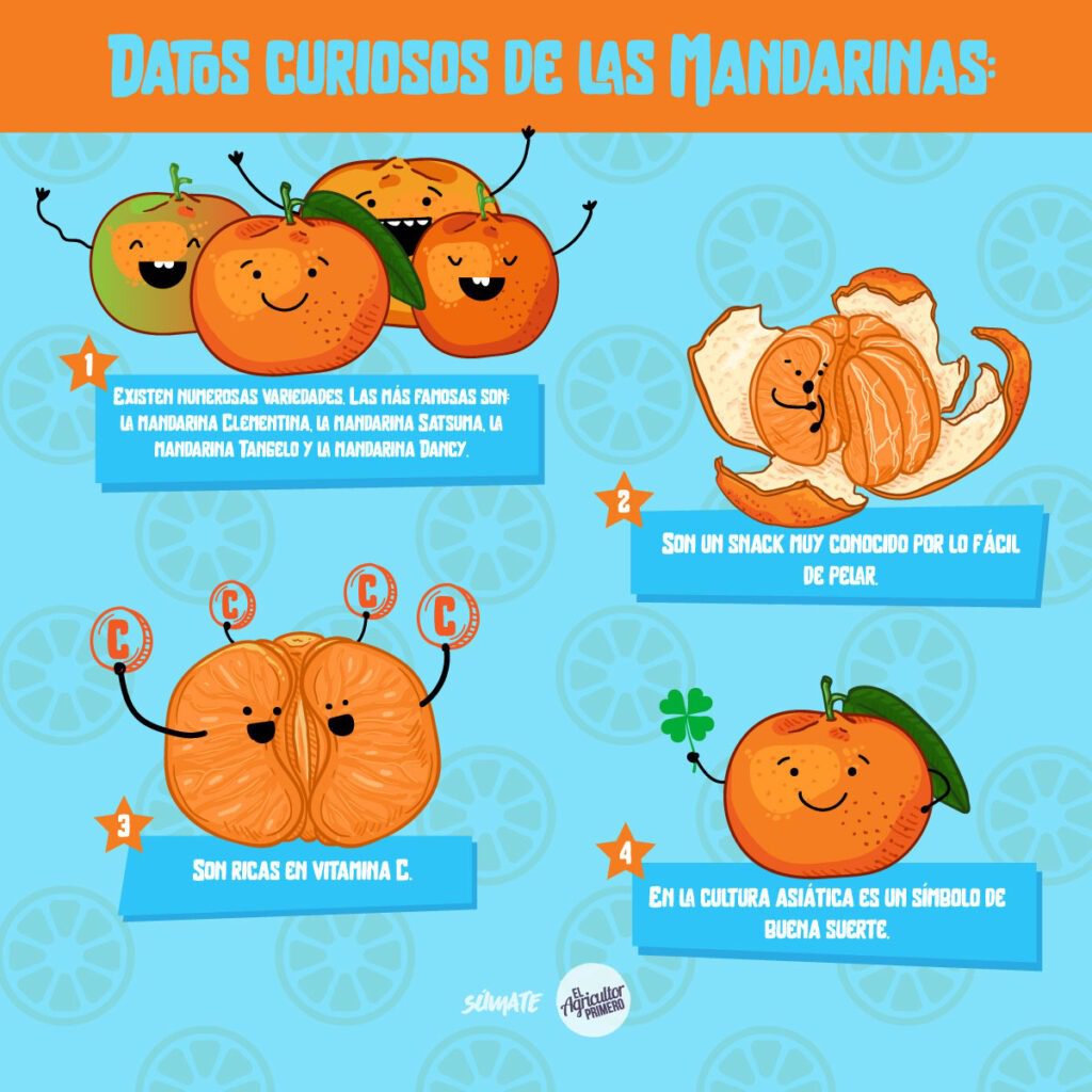 EAP infografia Mandarina