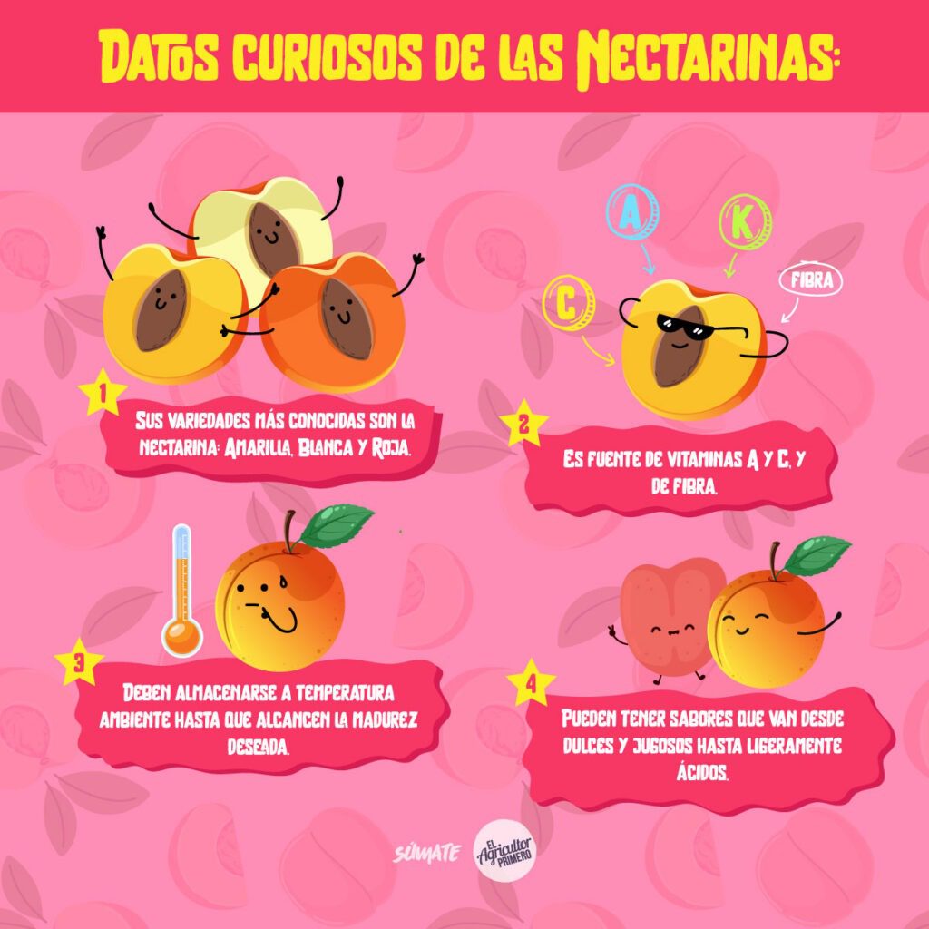 EAP infografia Nectarina