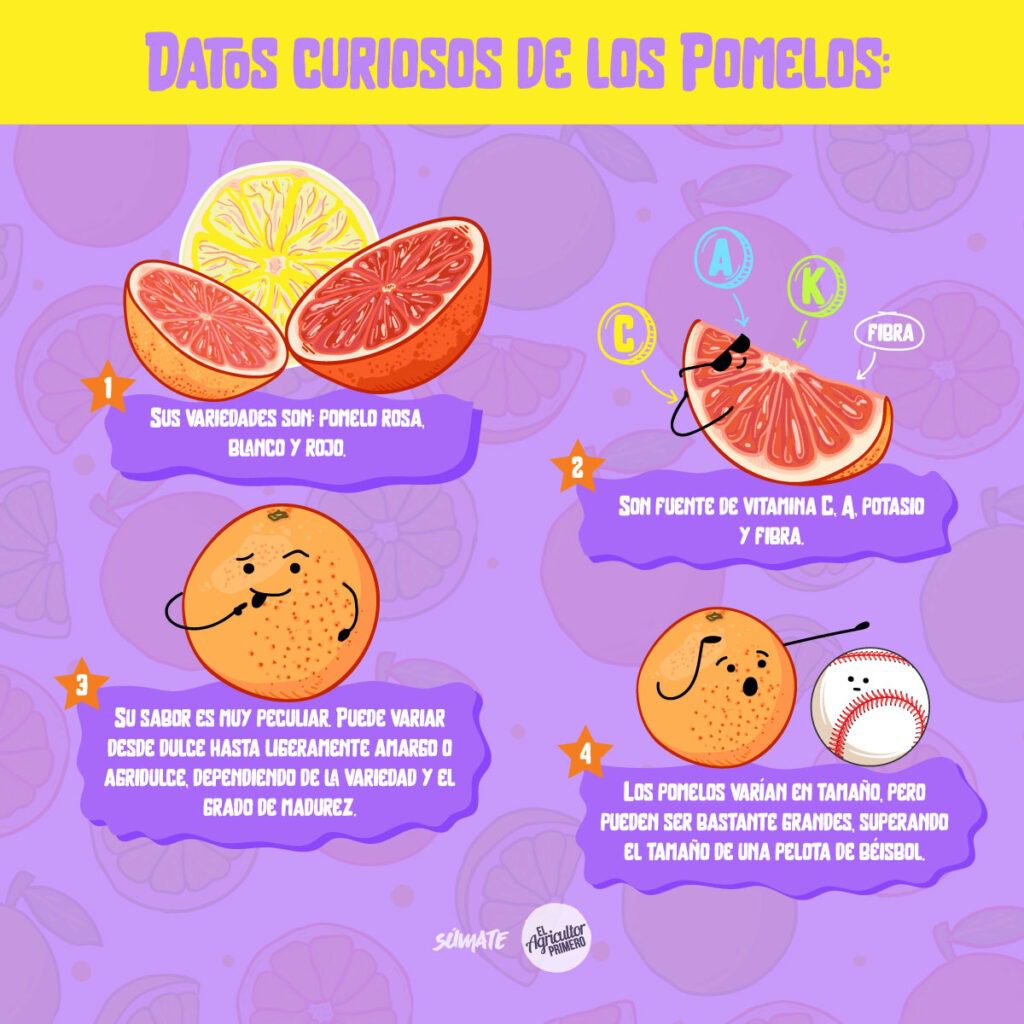 EAP infografia Pomelo