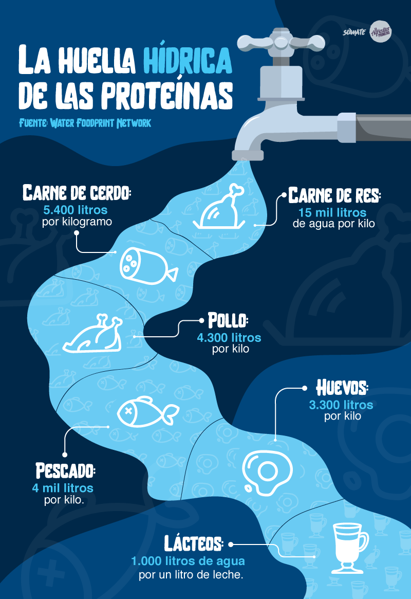 EAP infografia agua importancia