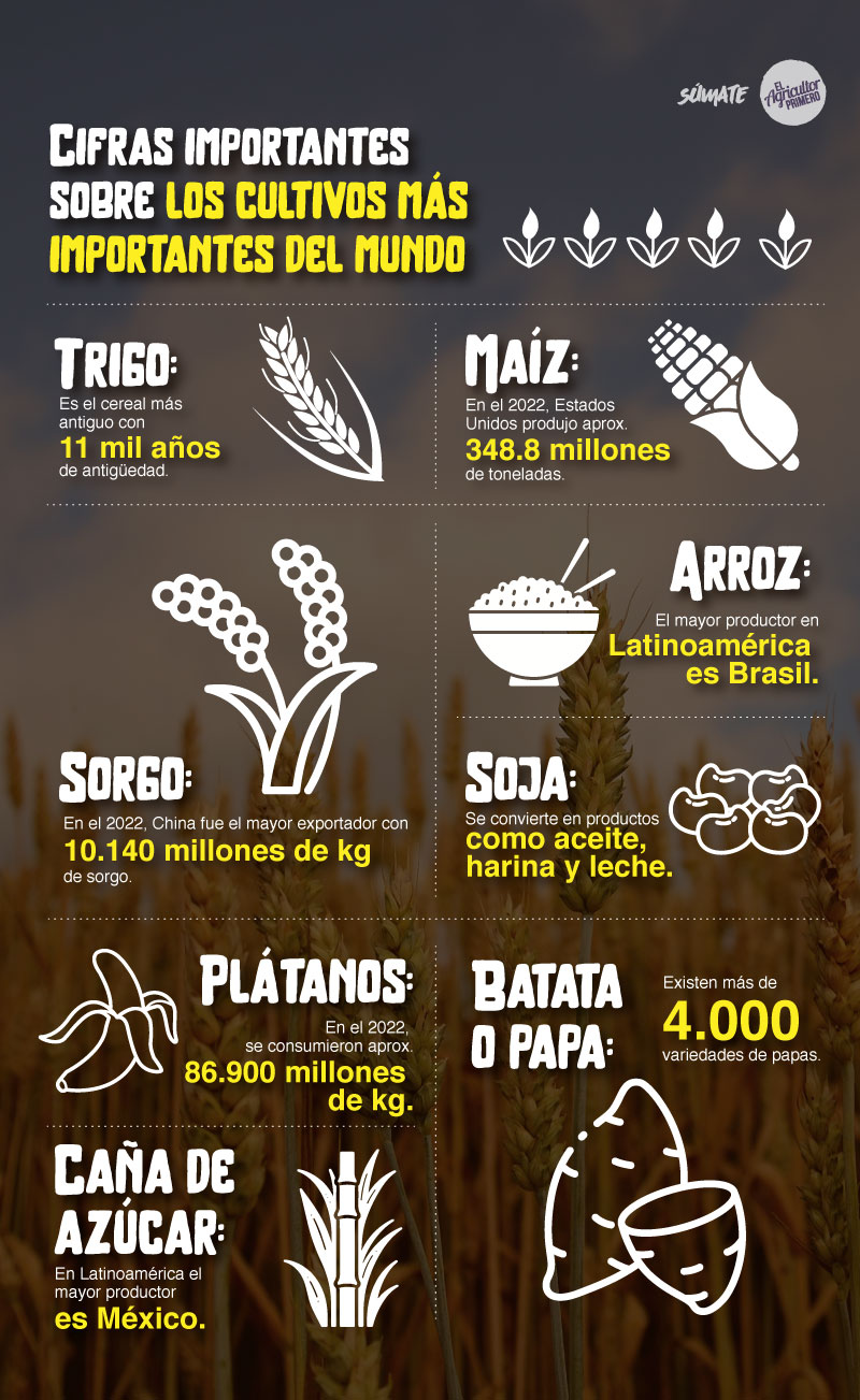 EAP infografia cultivos del mundo
