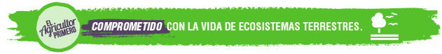 Franja Artículos EAP ODS compromiso clima