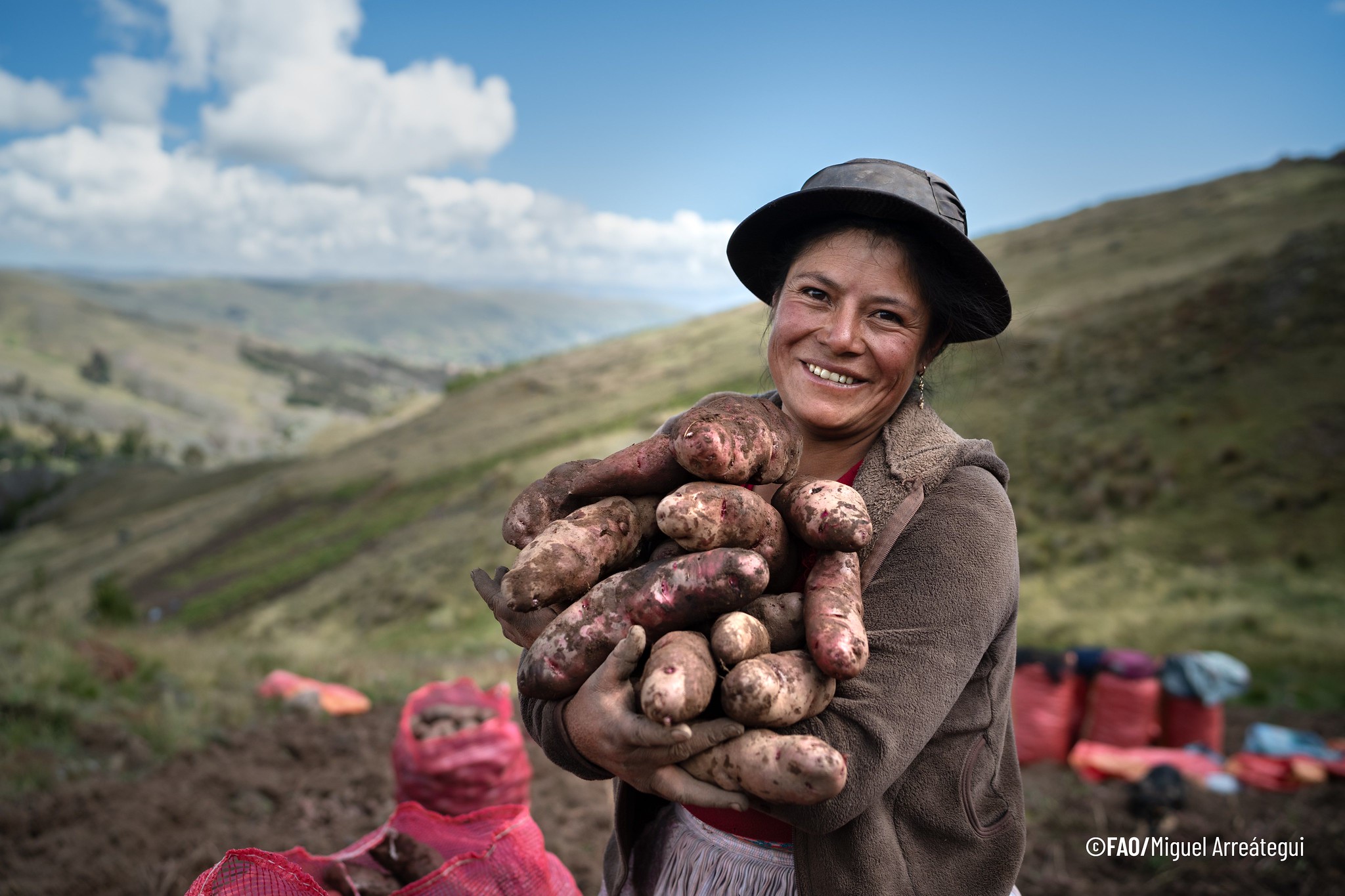 foto mujer papas fao