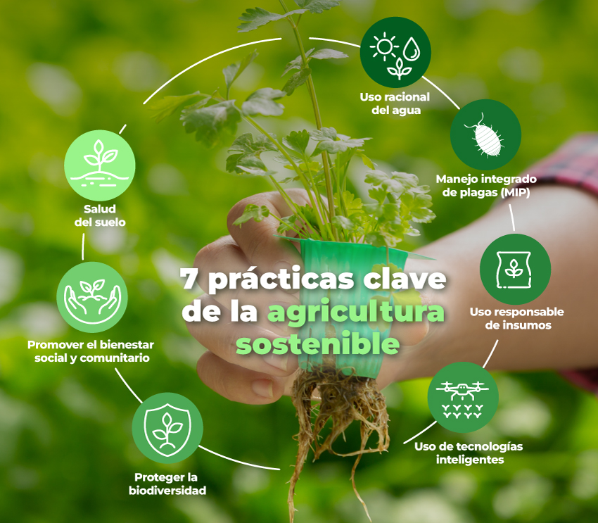 CLLA Banner Podcast circulo