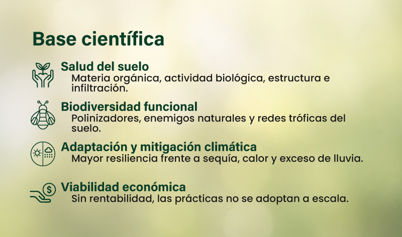Base Científica