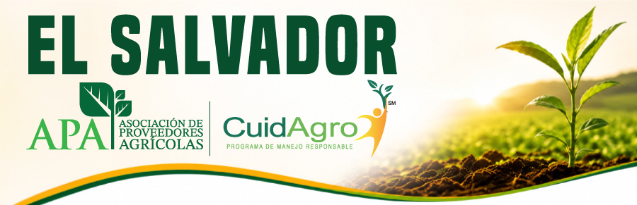 centro excelencia el salvador