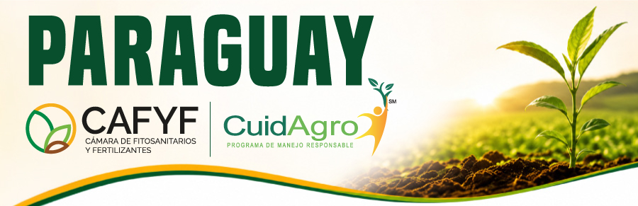 centro excelencia paraguay