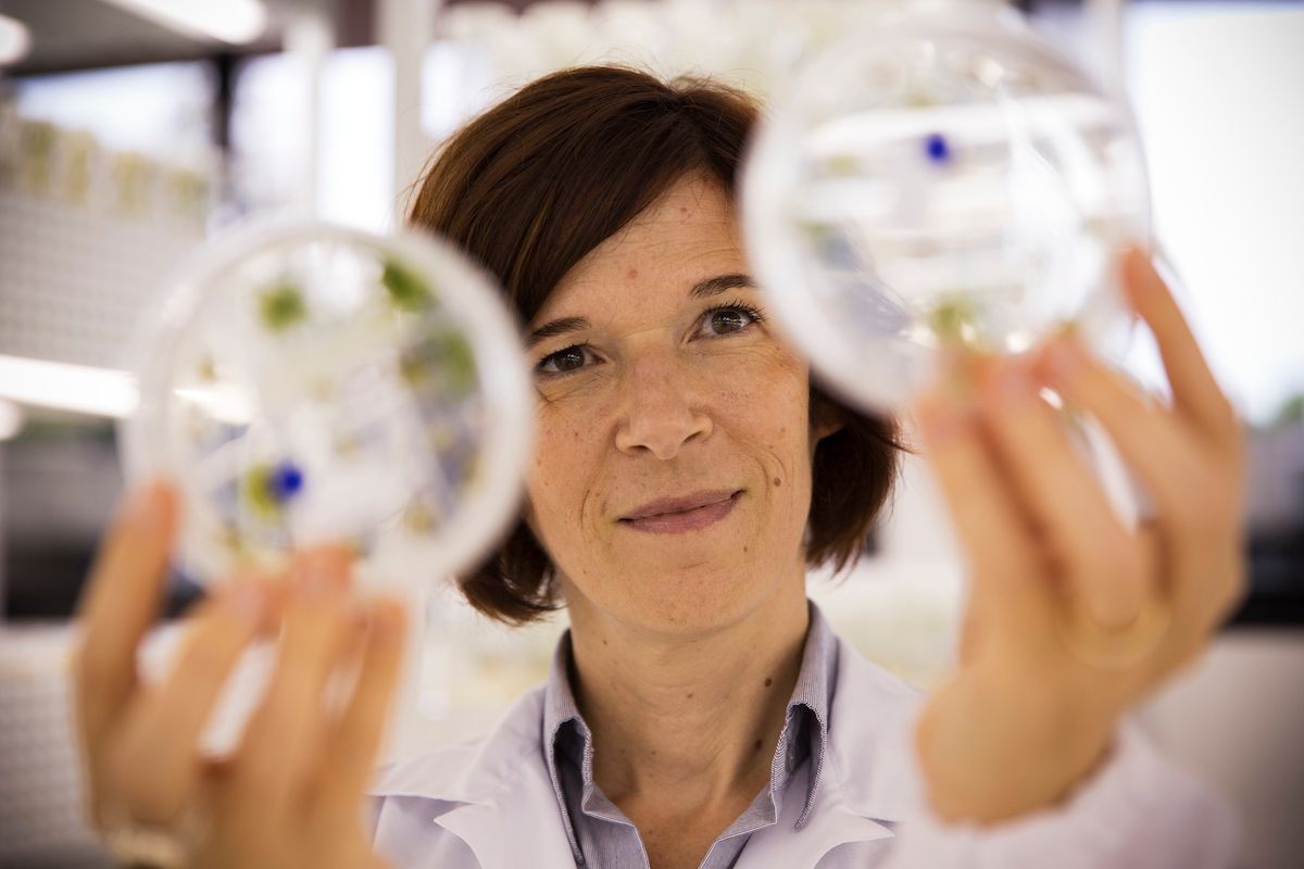Héroe de la Ciencia: Anne-Marie Kuijpers Héroe de la Ciencia