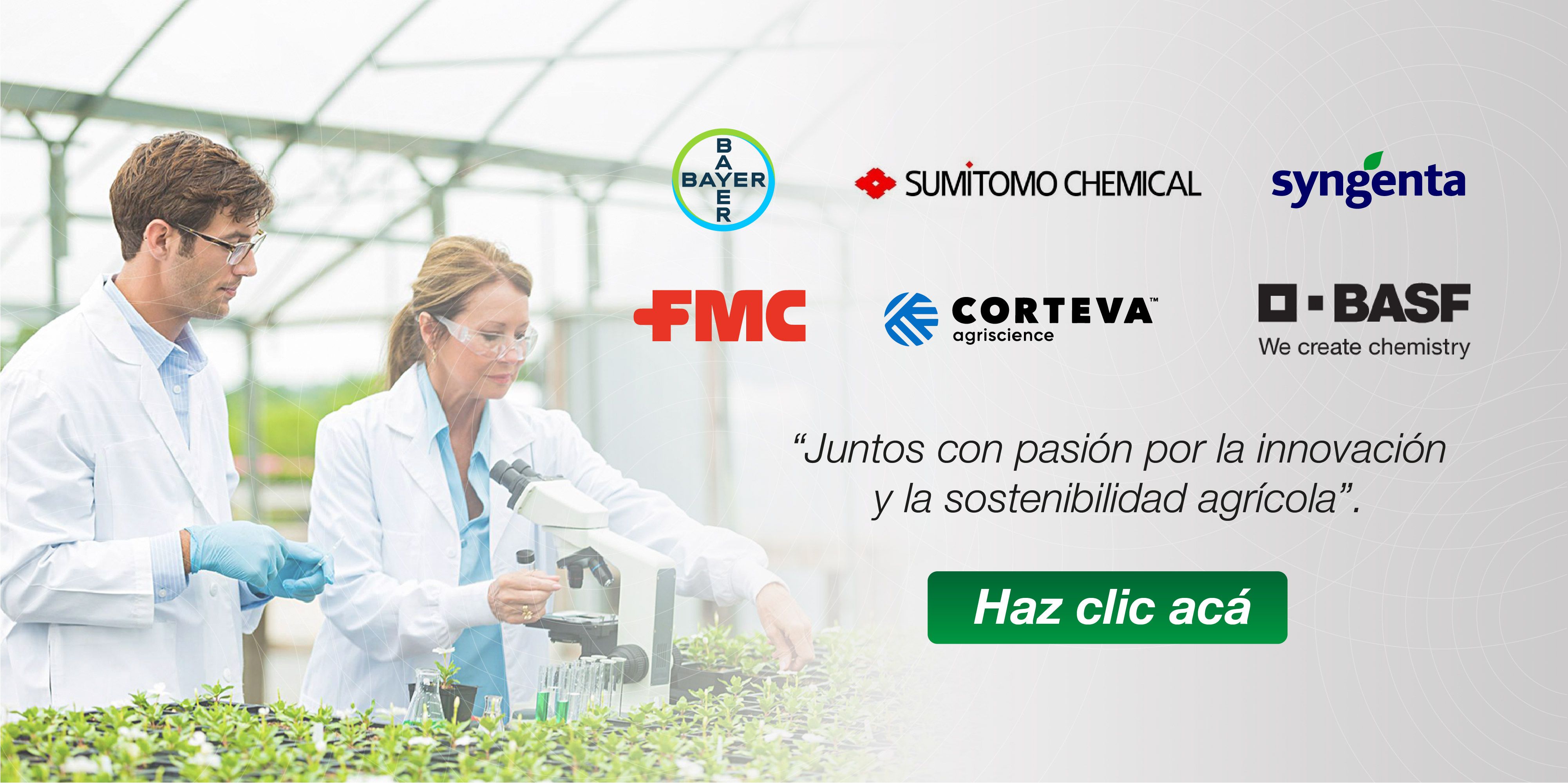 Conoce más de CropLife Latin America y sus compañías afiliadas, comprometidas con la innovación y el desarrollo sostenible de la agricultura.