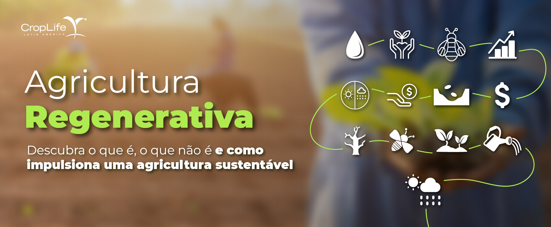 Agricultura Regenerativa Agricultura Regenerativa