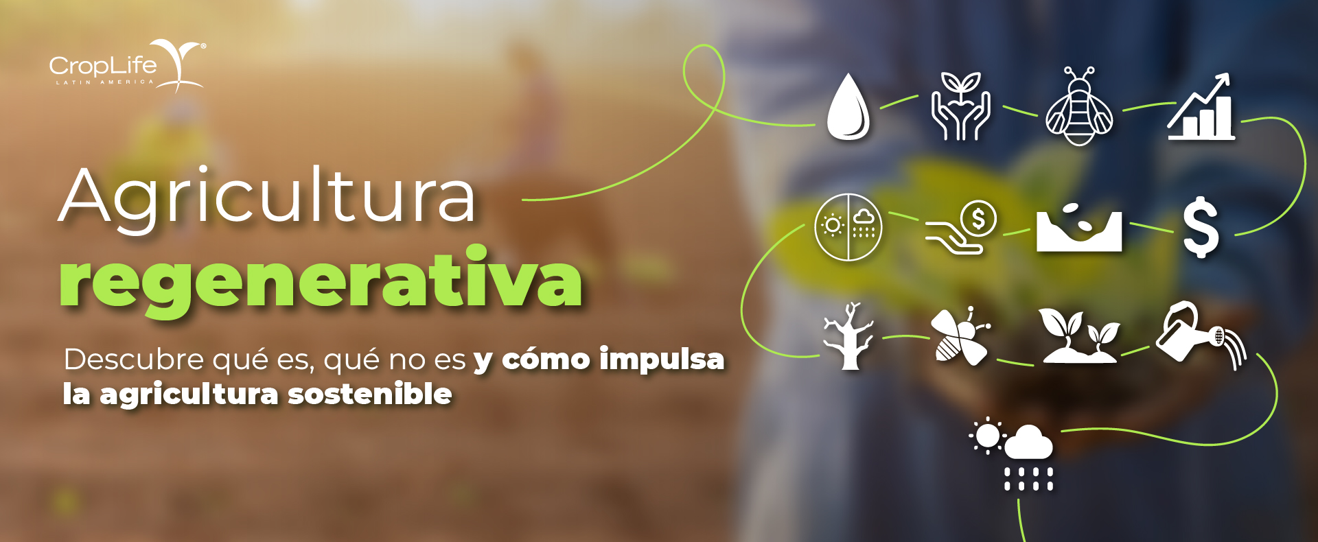 Agricultura Regenerativa Agricultura Regenerativa