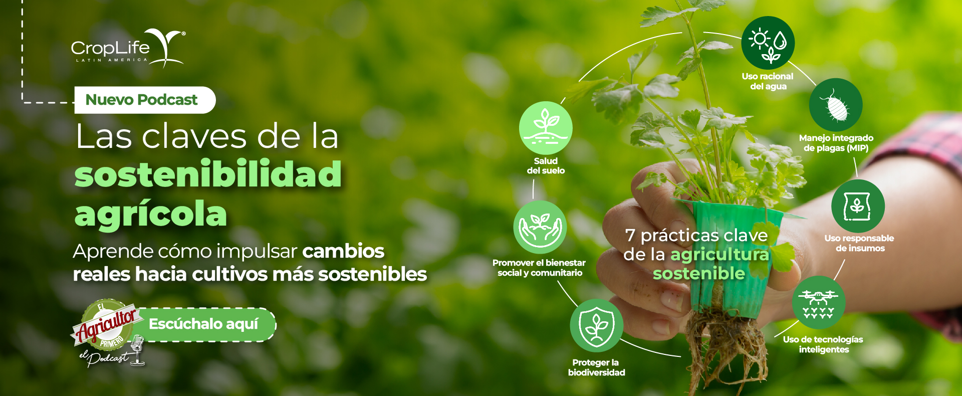 Infome Anual 2026 CropLife Latin America Infome Anual 2026