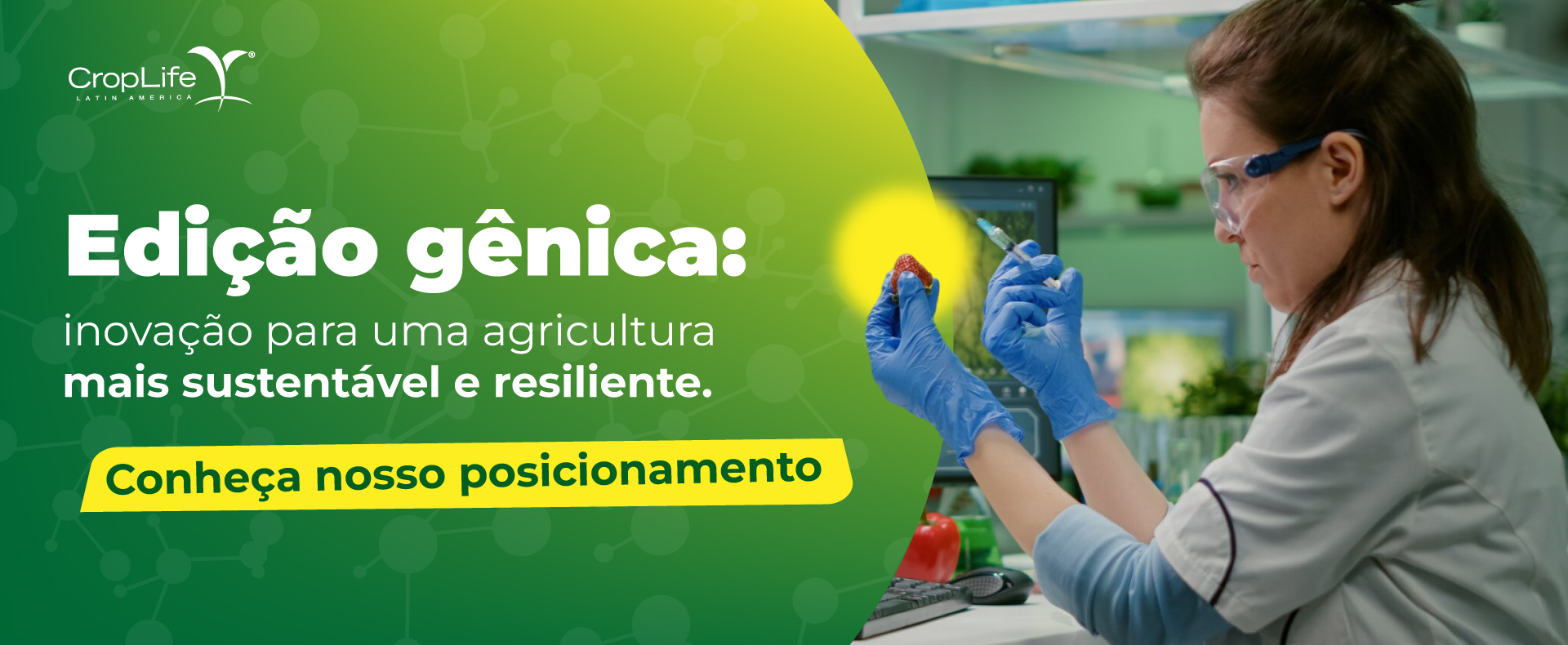 Agricultura Regenerativa Agricultura Regenerativa