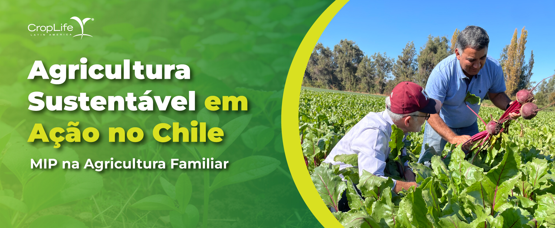Agricultura sustentavel chile