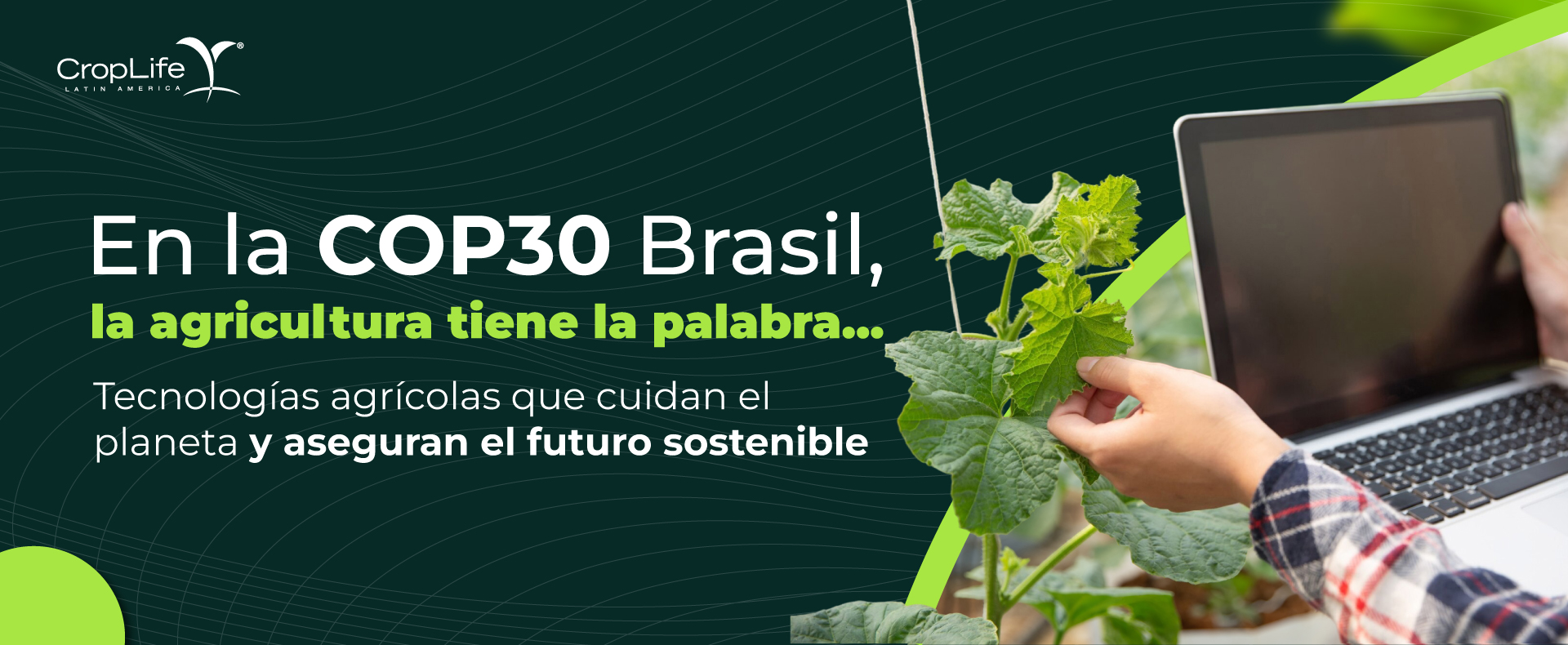 COP 30 Brasil 2025 COP 30 Brasil 2025