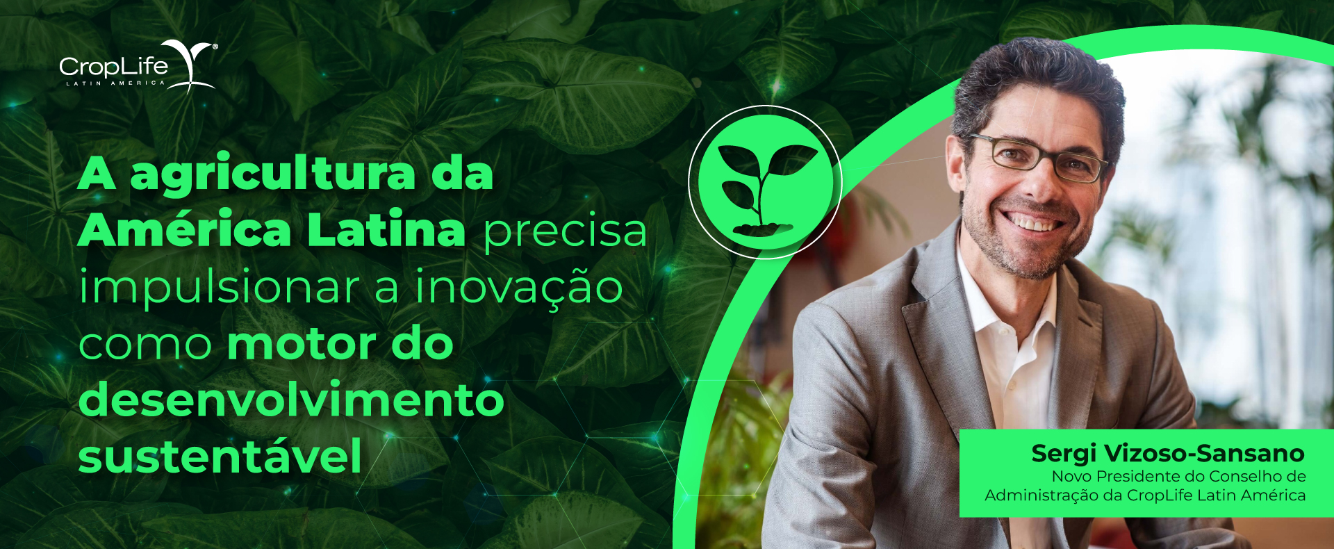 2025 Conselho Diretor 