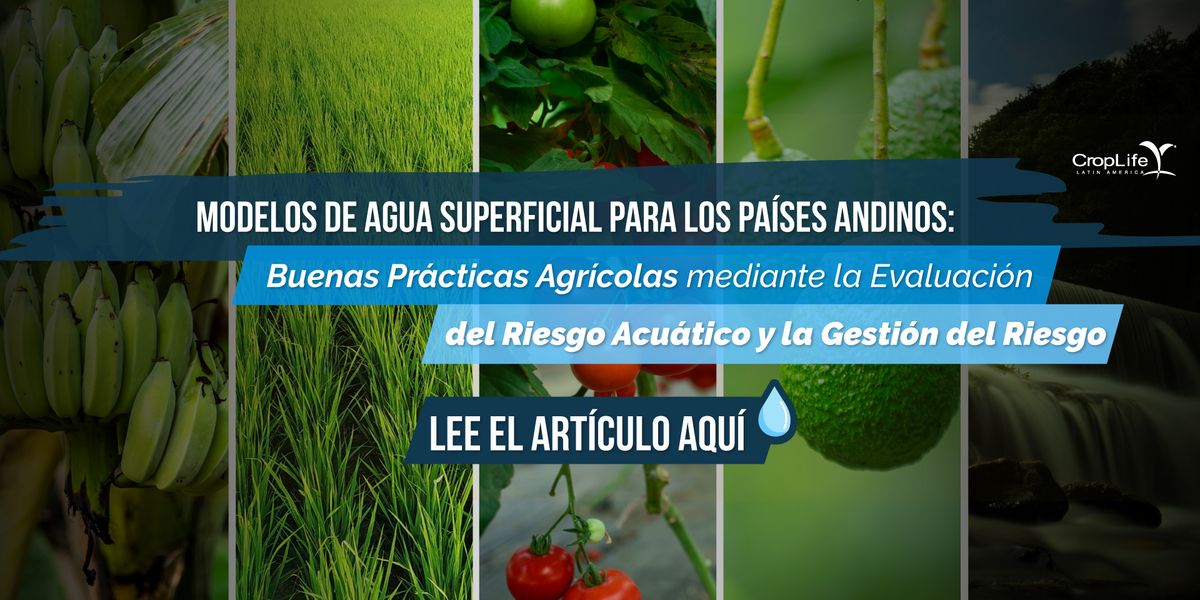 Modelos Agua