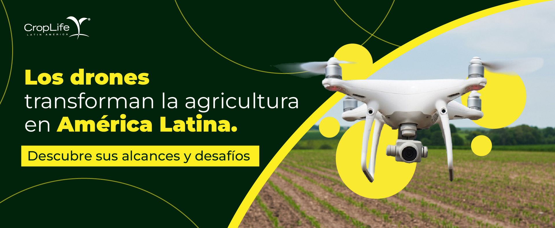 Agricultura Sostenible en Acción Agricultura Sostenible en Acción