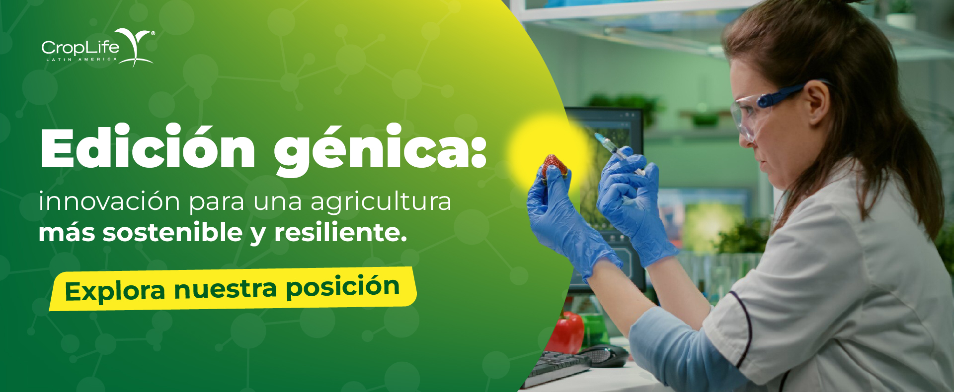 Agricultura Sostenible en Acción Agricultura Sostenible en Acción