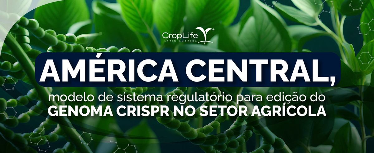 GENOMA CRISPR