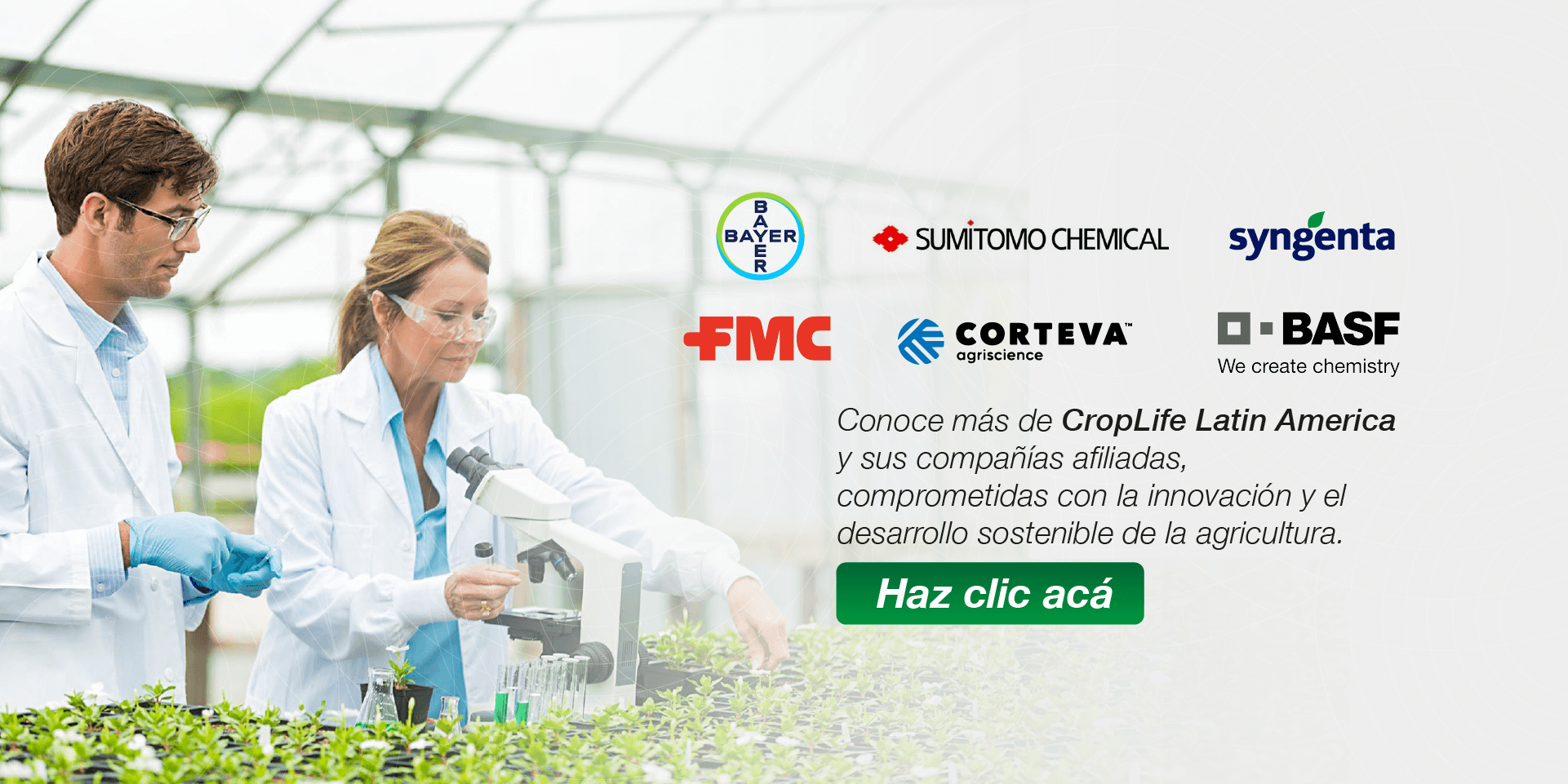Conoce más de CropLife Latin America y sus compañías afiliadas, comprometidas con la innovación y el desarrollo sostenible de la agricultura.