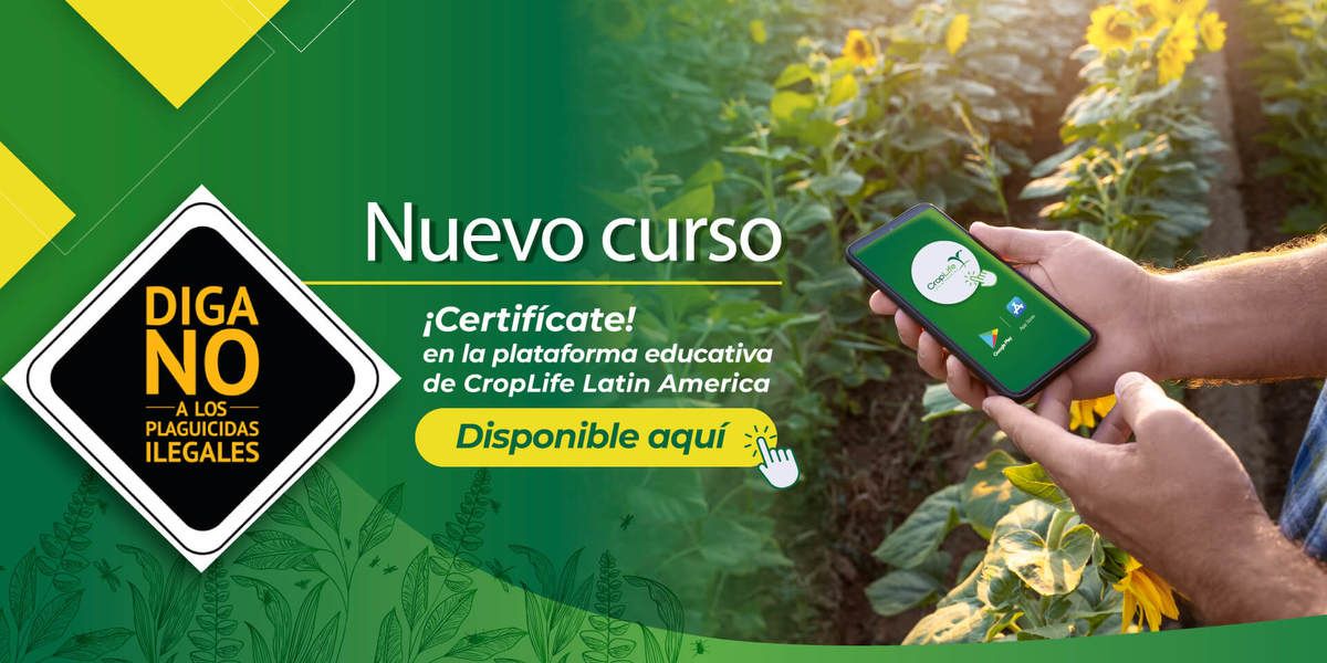 Nuevo curso plaguicidas ilegales