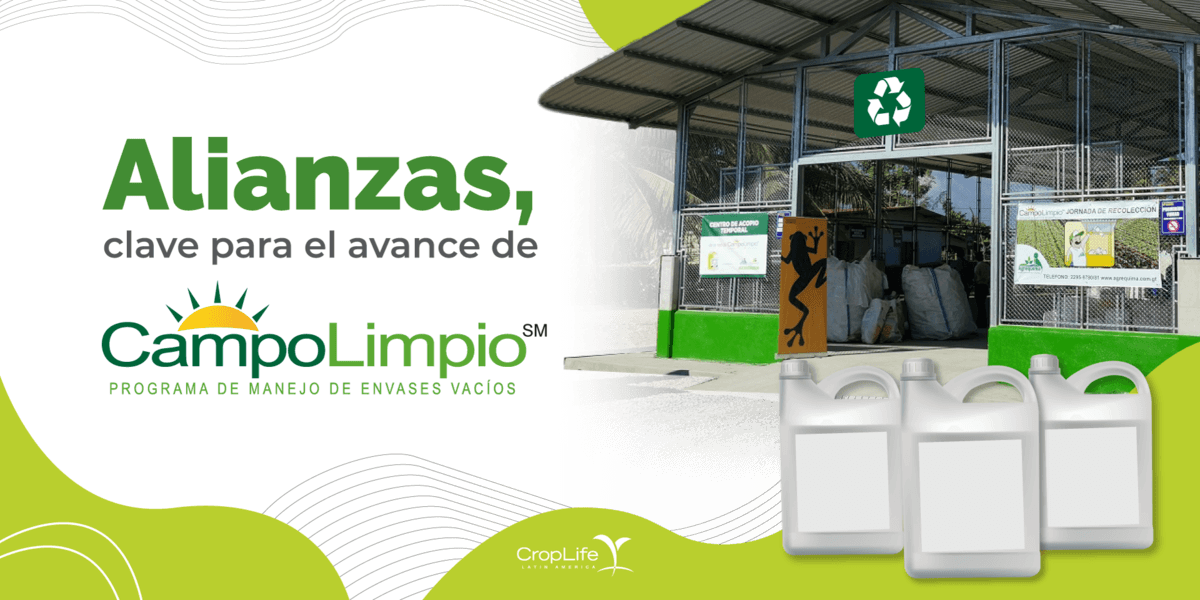 Alianzas, clave para el avance de CampoLimpio en Centro Américaual 2022