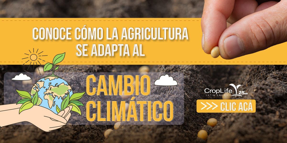 Cambio climático