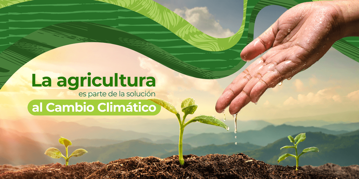podcast-elagricultorprimero