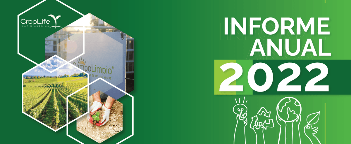 Informe anual