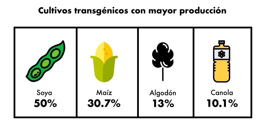 Cultivos Transgénicos con más producción