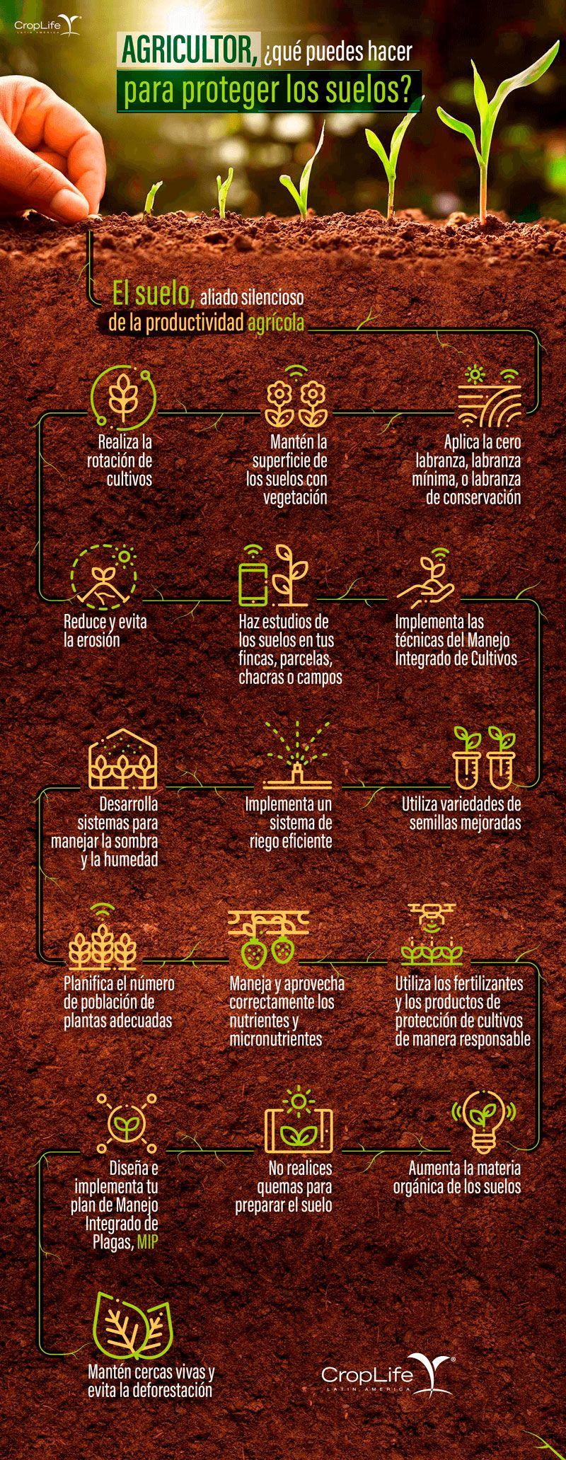 Infografia Proteccion Suelos