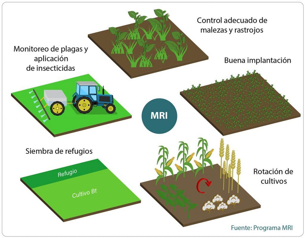 Control adecuado de malezas y rastrojos MRI