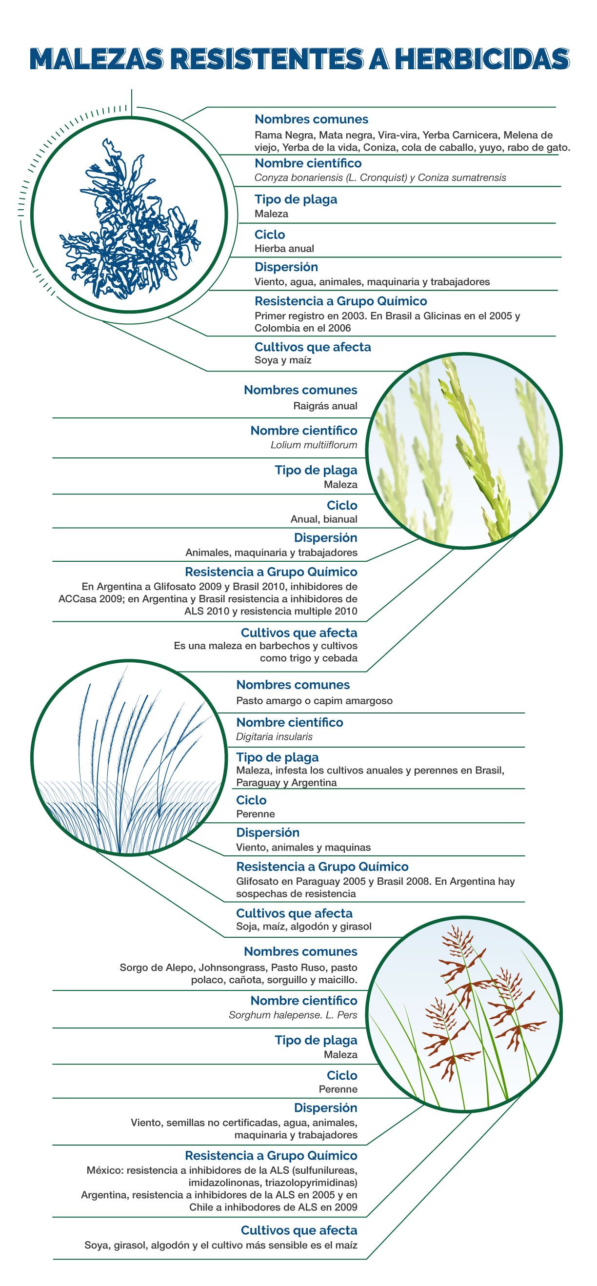 Infografía Malezas Resistentes a los Herbicidas